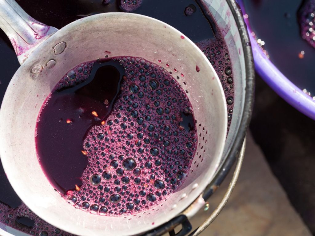 Filtro para vino
